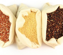 exotic quinoa