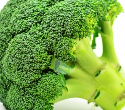 broccoli-diet